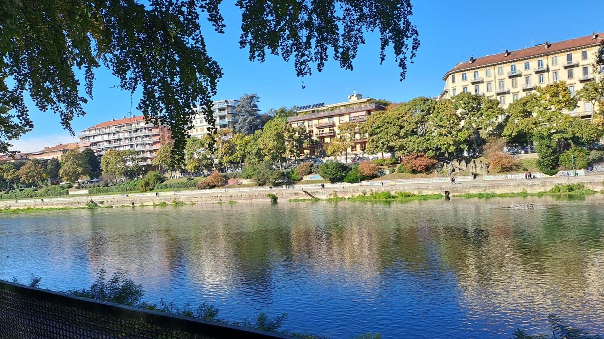 La Terrazzina, Silenzioso, Zona Piazza Gran Madre Apartment Turin Ngoại thất bức ảnh