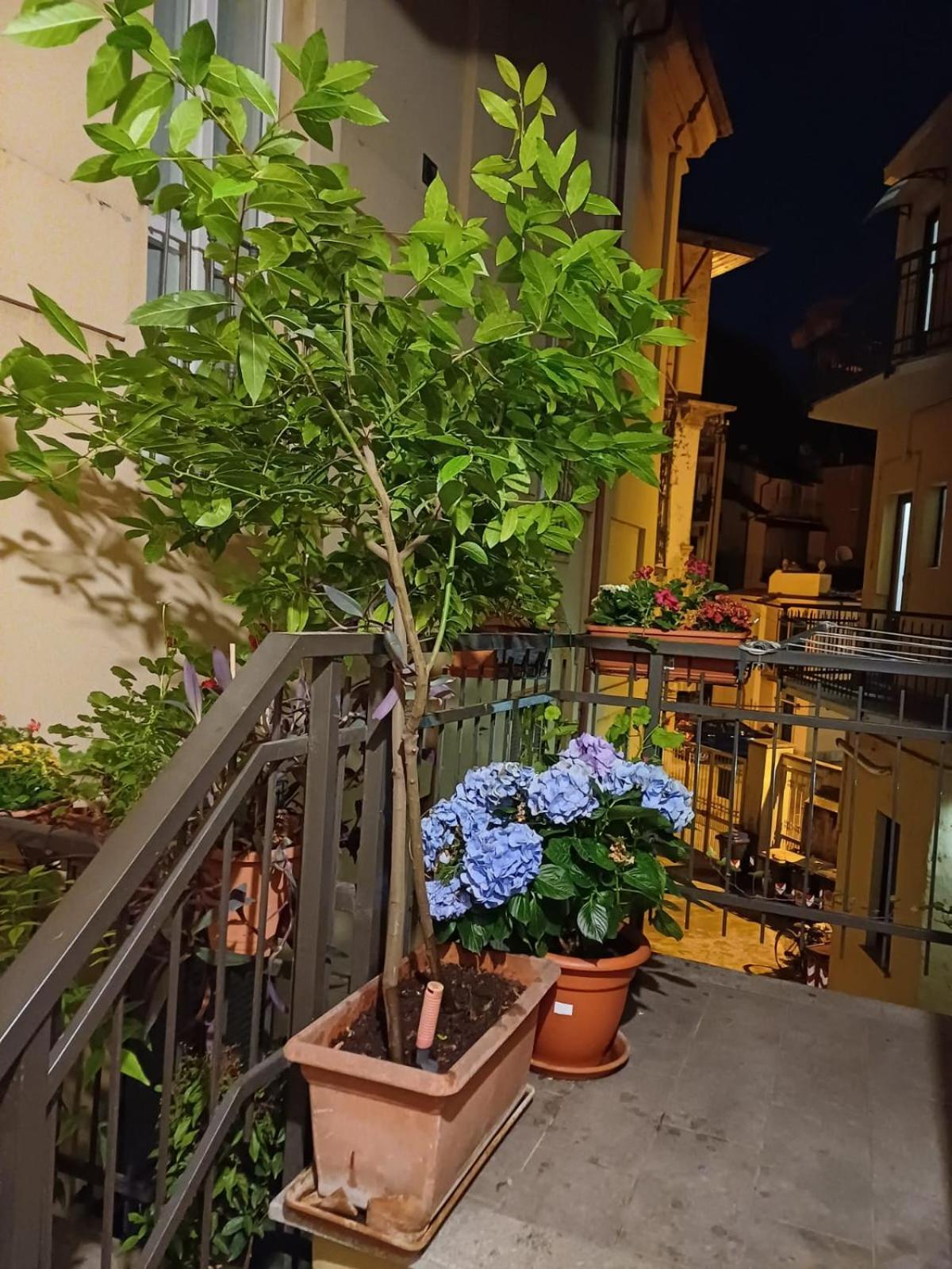 La Terrazzina, Silenzioso, Zona Piazza Gran Madre Apartment Turin Ngoại thất bức ảnh
